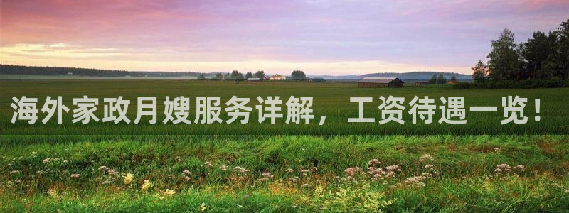 杏悦是什么平台