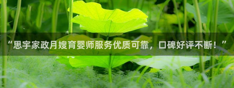 杏悦平台代理