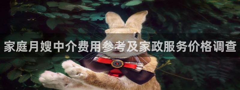 杏悦平台代理怎么赚钱