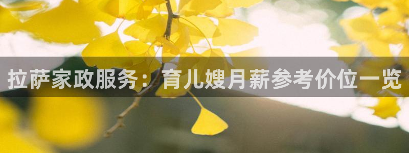 杏悦平台招商