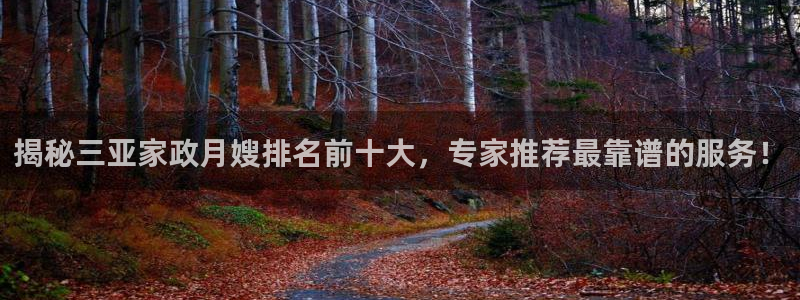 杏悦平台如何