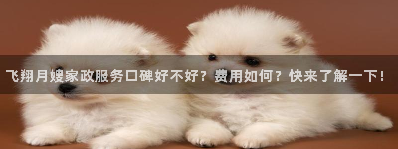 杏悦平台可靠吗是真的吗