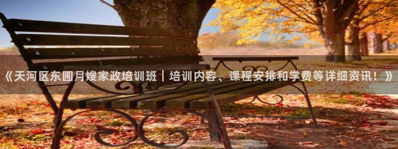 杏悦平台代理怎么做