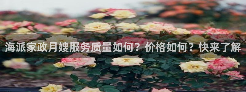 杏悦地址