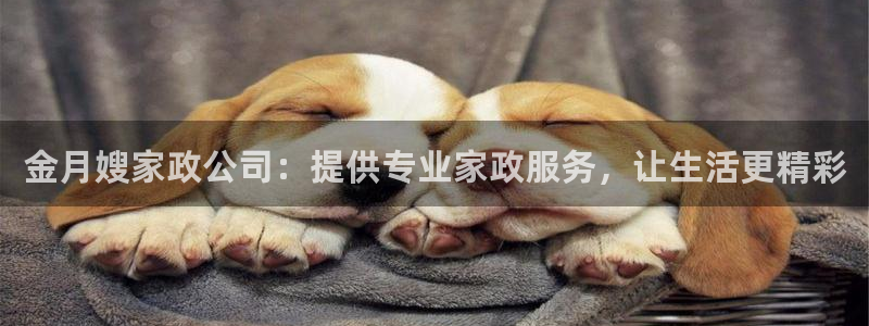 杏悦官方平台