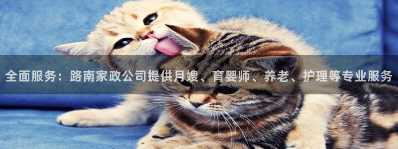 杏悦平台可靠吗是真的吗还是假的