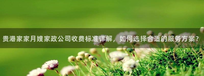杏悦平台代理怎么做的