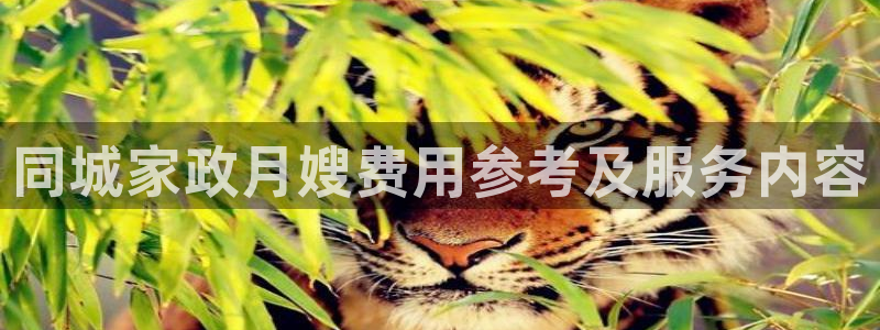 杏悦官网