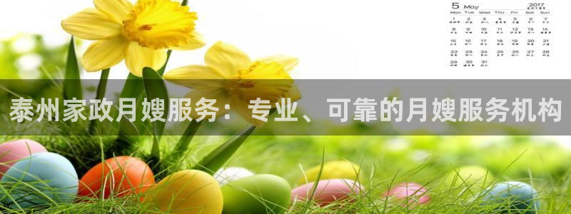 杏悦平台代理怎么做