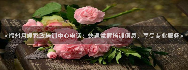 杏悦平台开户地址