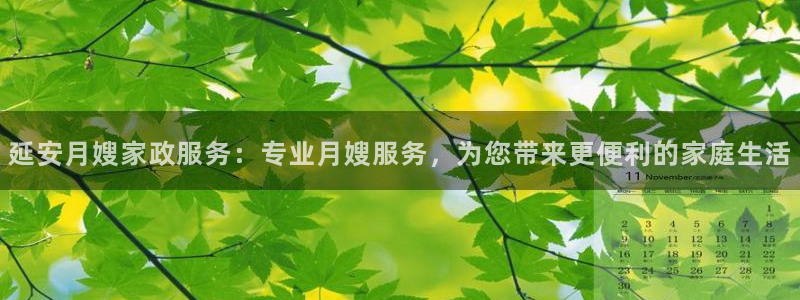 杏悦娱乐是什么