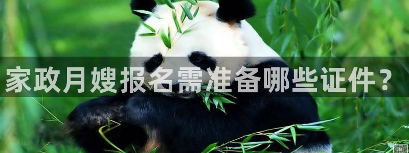 杏悦平台代理注册
