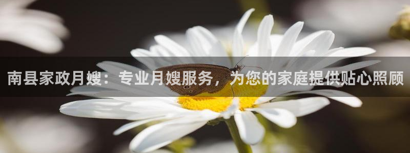 杏悦平台代理怎么样啊