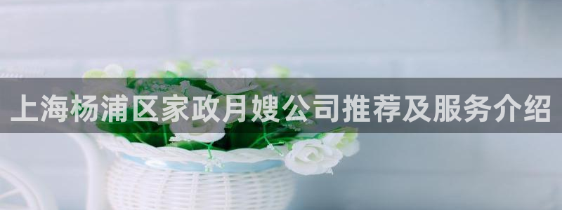 杏悦平台招商
