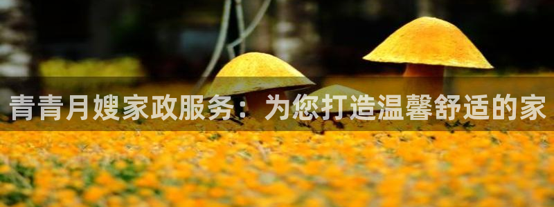 杏悦平台代理怎么样赚钱