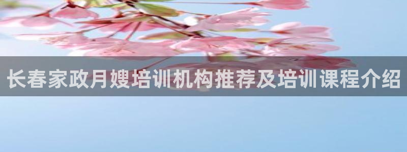 杏悦平台代理怎么赚钱快