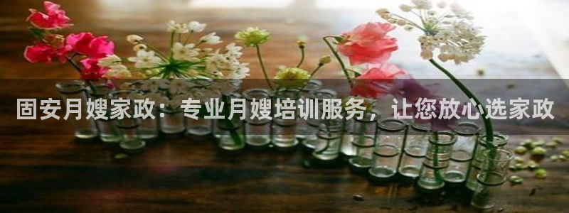 杏悦1招商地址