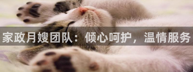 杏悦平台线路测速