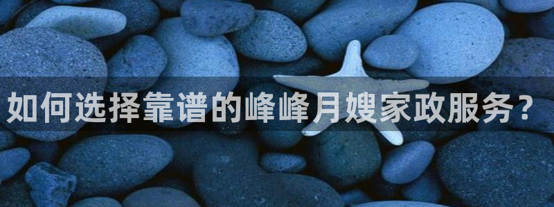 杏悦招商地址