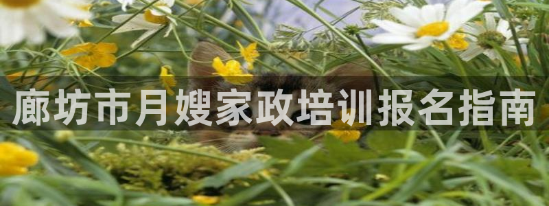 杏悦官方平台是正品吗