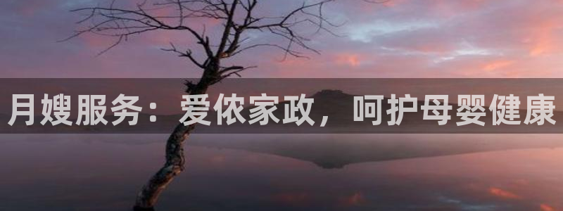 杏悦官网注册信息是什么样的