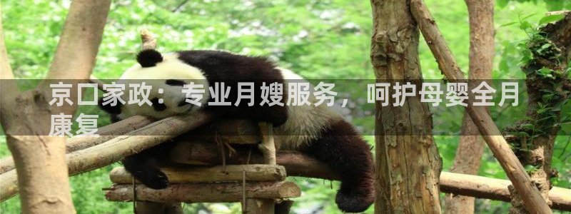 杏悦娱乐注册平台