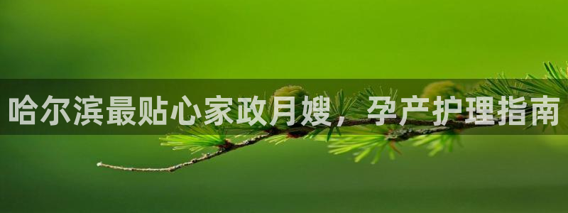 杏悦官方平台官网首页
