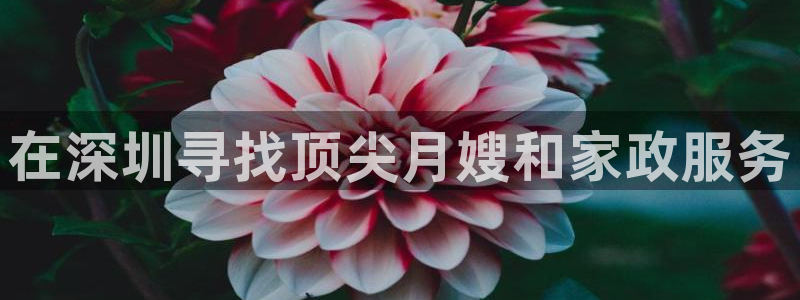 杏悦平台登录网址查询