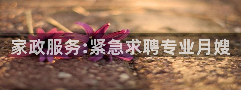 杏悦平台地址