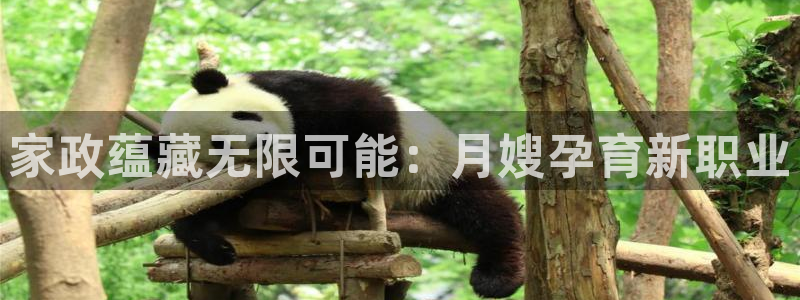 杏悦靠谱吗