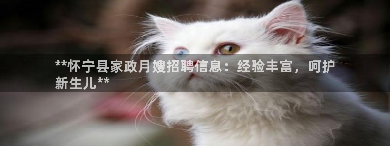 杏悦平台如何注册账号