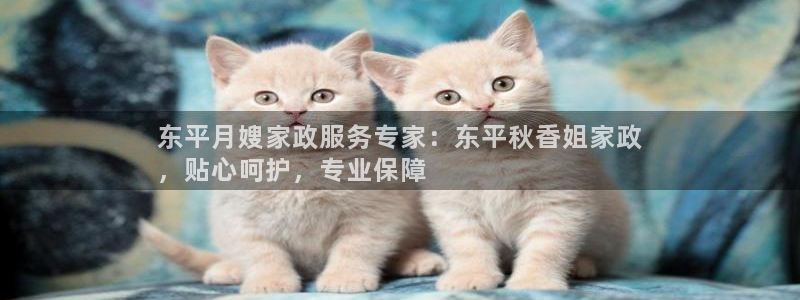 杏悦官网注册信息在哪里找