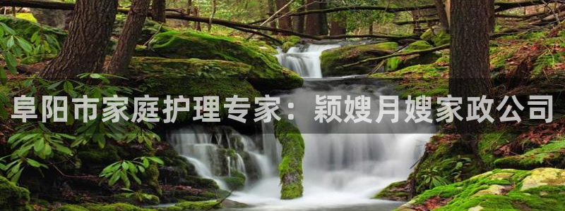 杏悦官方平台官网首页
