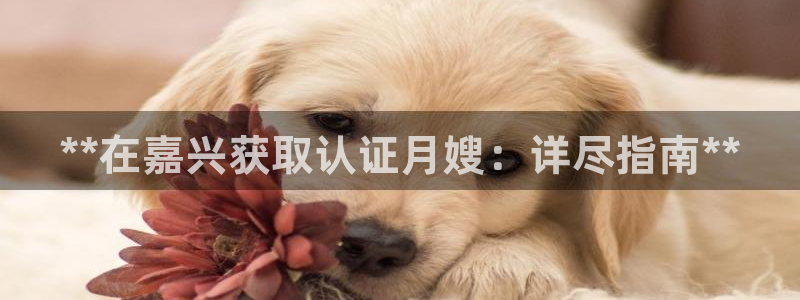 杏悦娱乐平台靠谱吗