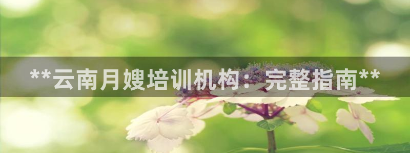 杏悦地址