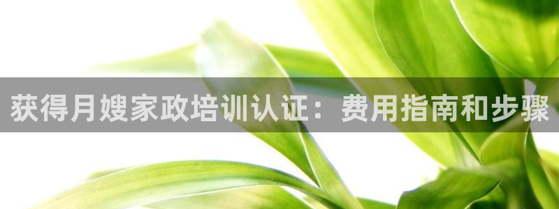 杏悦平台线路测速