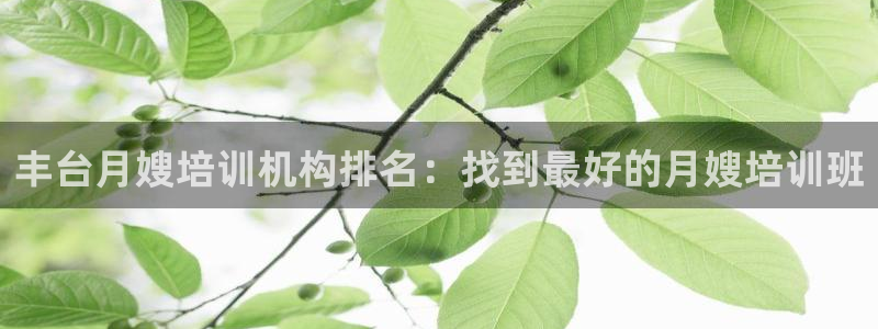 杏悦平台代理怎么样