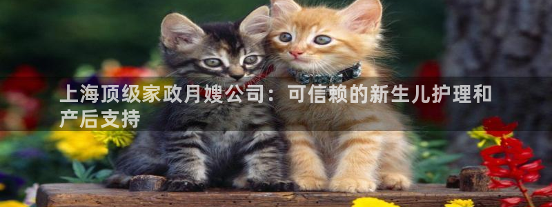 杏悦平台代理怎么赚钱的