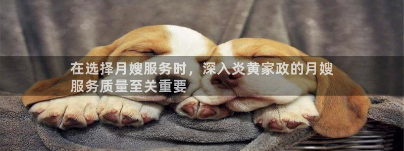 杏悦平台招商电话号码