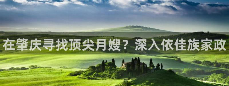 杏悦娱乐是什么