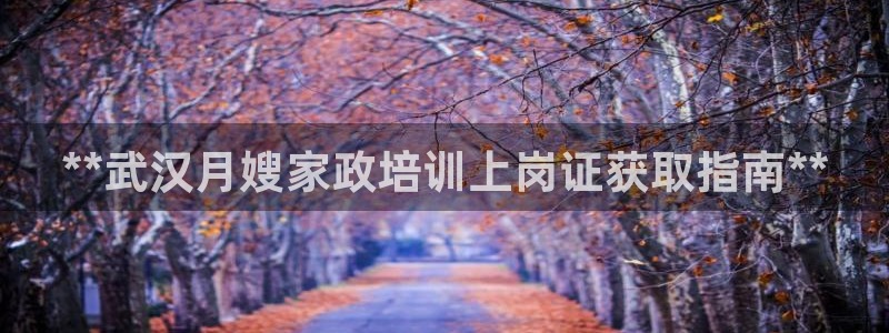 杏悦靠谱吗
