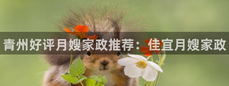 杏悦平台开户地址在哪里