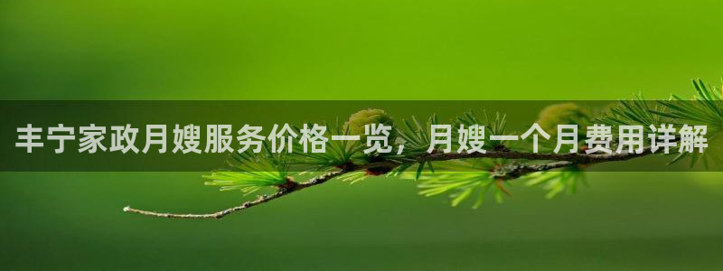 杏悦平台代理怎么样