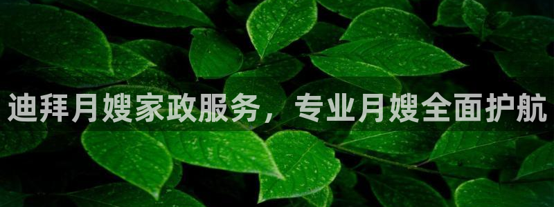 杏悦官方平台