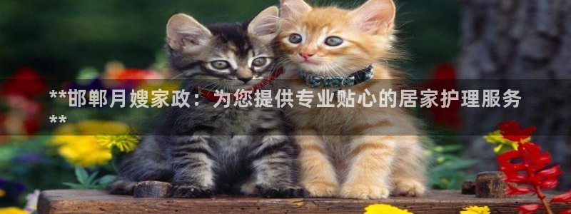 杏悦登入