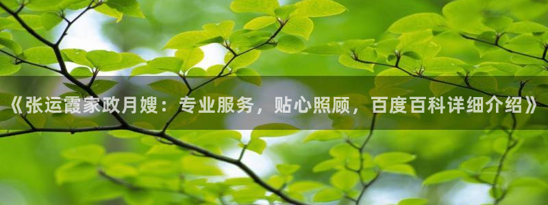 杏悦平台主管