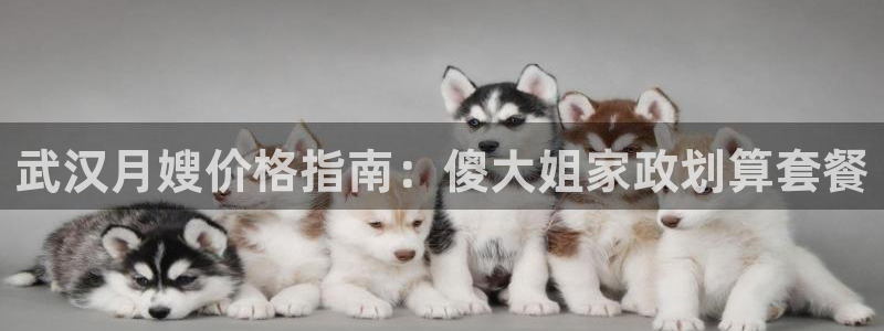 杏悦平台代理怎么赚钱快