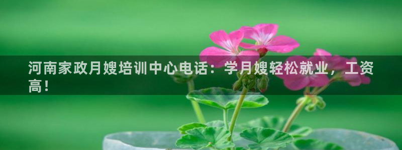 杏悦平台地址