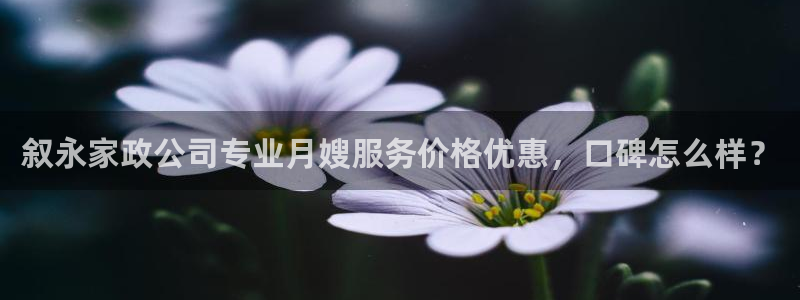 杏悦平台招商电话