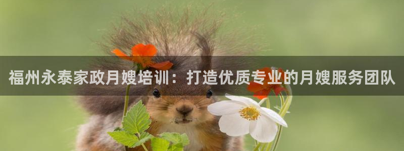 杏悦平台可靠吗可信吗
